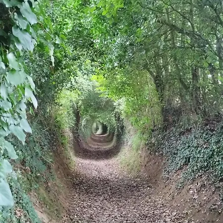 Des Roches Roche D'oetre Suisse Normande 펜션 Saint-Philbert-sur-Orne