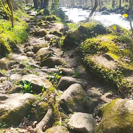 펜션 Des Roches Roche D'oetre Suisse Normande *