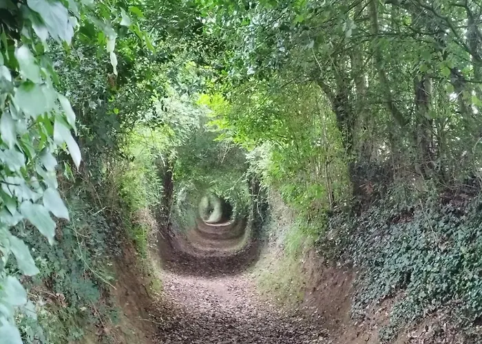 Des Roches Roche D'oetre Suisse Normande Ferienhaus Saint-Philbert-sur-Orne