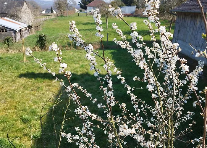 Des Roches Roche D'oetre Suisse Normande Saint-Philbert-sur-Orne