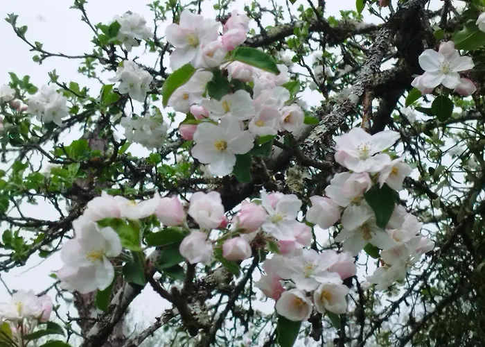 Ferienhaus Des Roches Roche D'oetre Suisse Normande *
